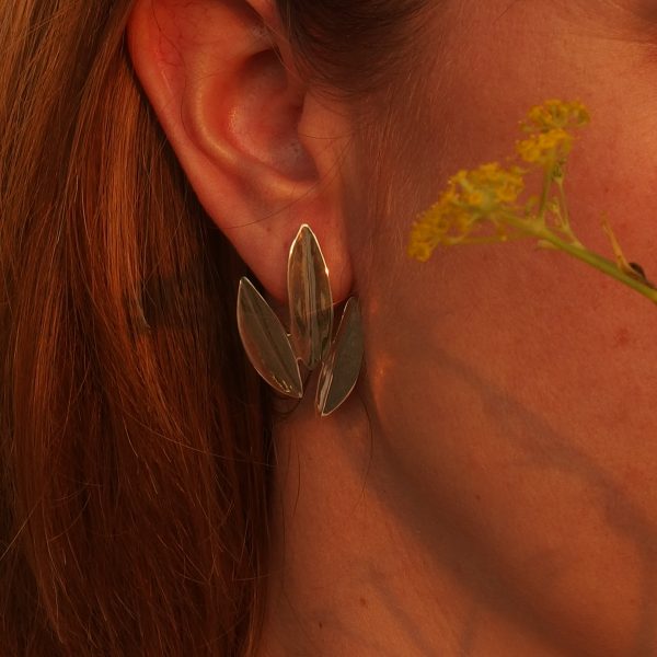 Anhelo plata pequeño