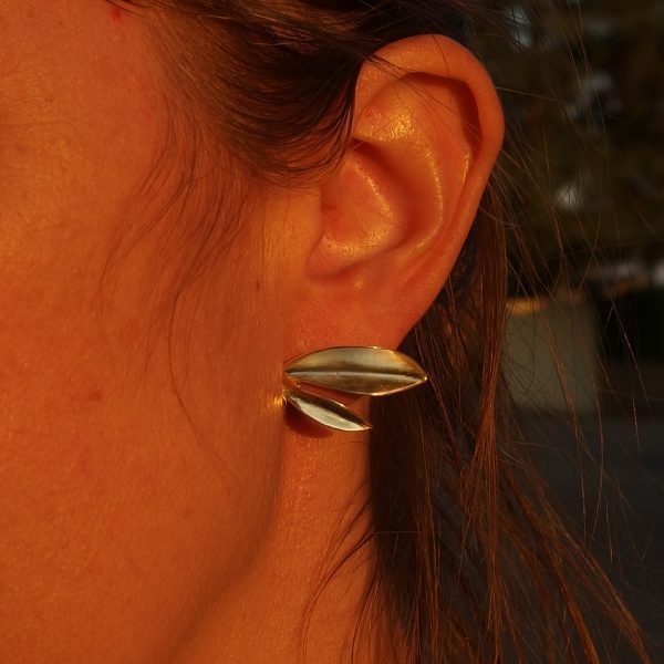 Anhelo plata dos hojas